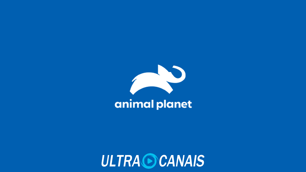 Animal Planet Online